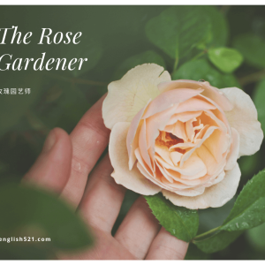 【阅文识词】玫瑰园艺师 | The Rose Gardener ④