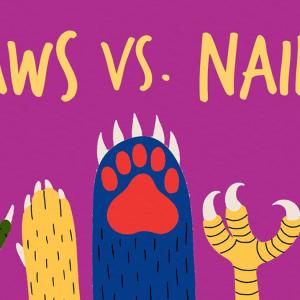 【TED-Ed】爪子 vs 指甲 | Claws vs. nails