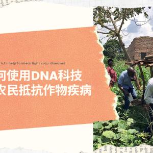 【TED】我们如何使用DNA科技来帮助农民抵抗作物疾病