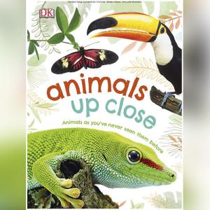 Animals Up Close: Animals as you've Never Seen them Before by DK