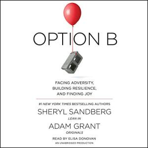 另一种选择 | Option B: Facing Adversity, Building Resilience, and Finding Joy by Sheryl Sandberg