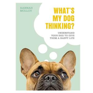 What's My Dog Thinking?: Understand Your Dog to Give Them a Happy Life by Hannah Molloy