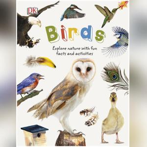Birds: Explore Nature with Fun Facts and Activities (Nature Explorers) by DK