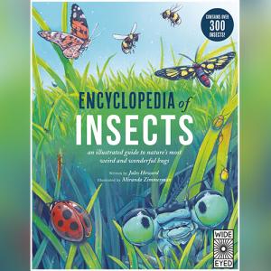 Encyclopedia of Insects: an illustrated guide to nature's most weird and wonderful bugs - Contains over 300 insects! by Mr. Jules Howard, Miranda Zimmerman