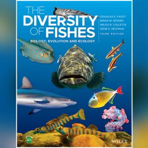 海洋奇观：探索鱼类的生命密码，一场与海洋居民的神秘邂逅！| The Diversity of Fishes