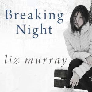 风雨哈佛路 | Breaking Night by Liz Murray