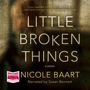 Little Broken Things by Nicole Baart