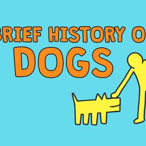 【TED-Ed】狗狗简史 | A brief history of dogs