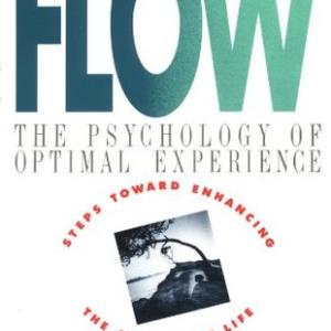 心流 | Flow by Mihaly Csikszentmihalyi