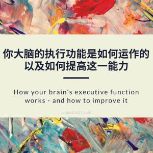 【TED】你大脑的执行功能是如何运作的——以及如何提高这一能力 | How your brain's executive function works - and how to improve it