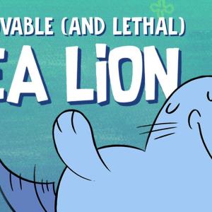 【TED-Ed】可爱的（致命的）海狮 | The lovable (and lethal) sea lion