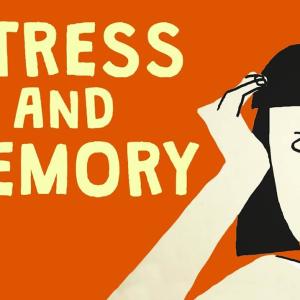 【TED-Ed】压力与记忆间的惊人联系 | The surprising link between stress and memory
