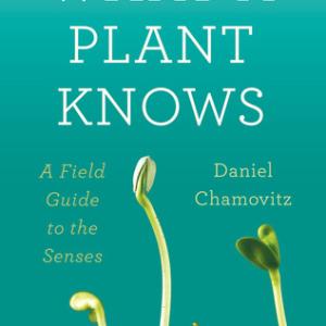 植物知道生命的答案 | What a Plant Knows by Daniel Chamovitz